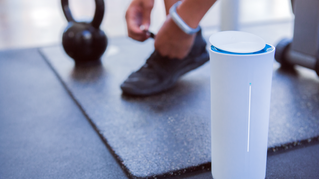 The Company Behind This $US99 Cup Wants To Keep You Hydrated With An Algorithm