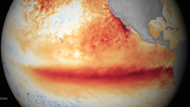 This Year’s Godzilla El Niño Could Be The Worst Ever Recorded