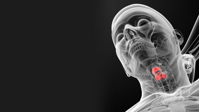 First-Ever Working Vocal Cords Grown In A Lab
