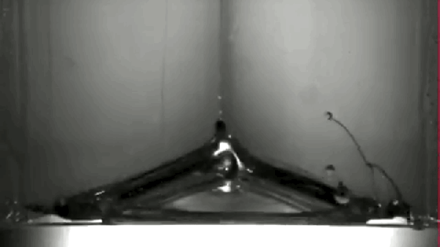 You Can Recreate This Cool Fluid Dynamics Experiment With A Wine Glass