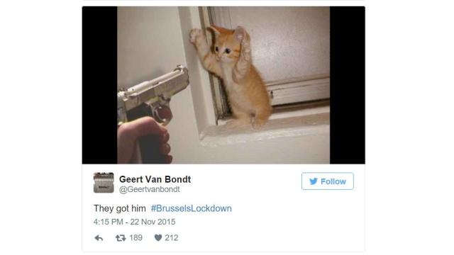 Belgian Twitter Users Are Supporting Police By Tweeting Cats