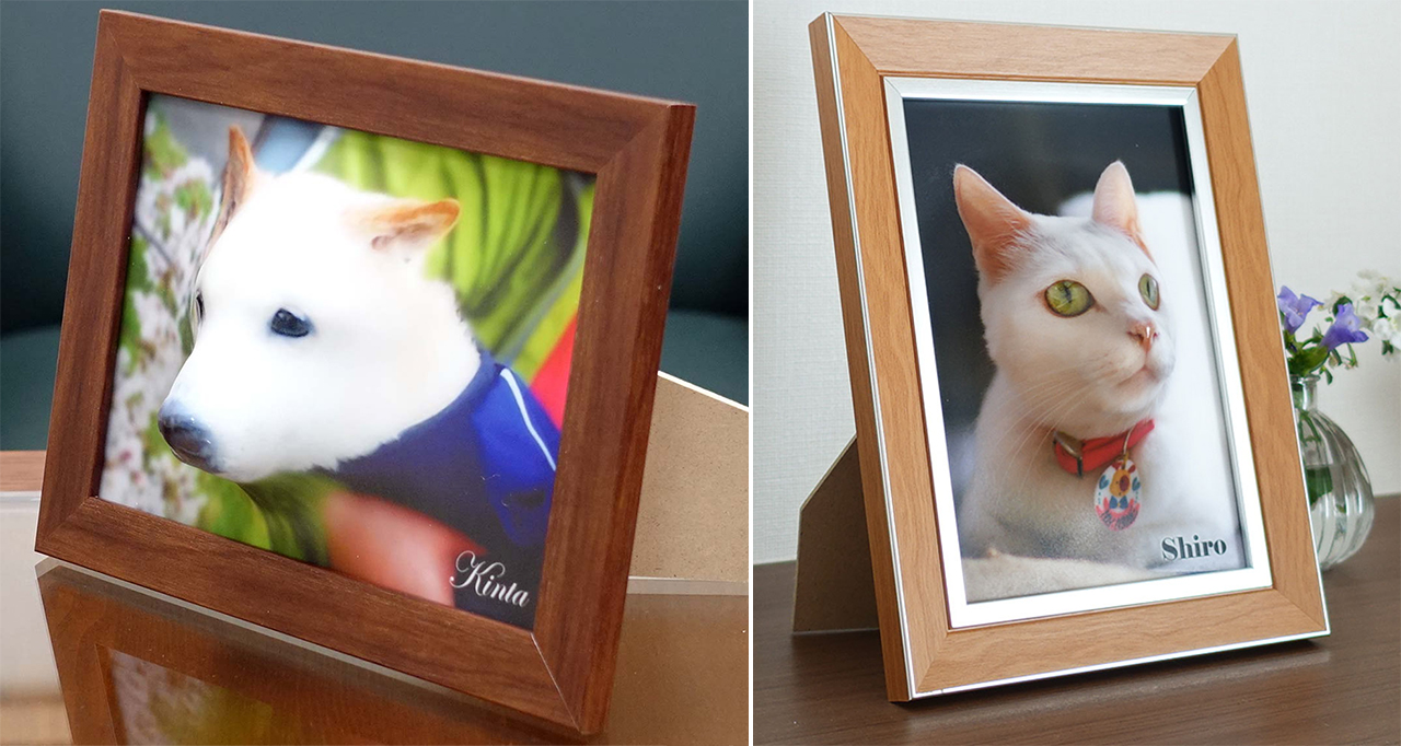 This Website Turns Photos Of Your Pets Into 3D Reliefs You Can Actually Pet