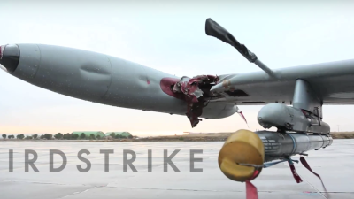 Bird Strikes Are Scary For Even The Strongest Planes