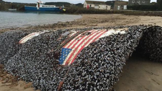 Huge Piece Of Debris Likely From SpaceX June Explosion Washed Up In UK