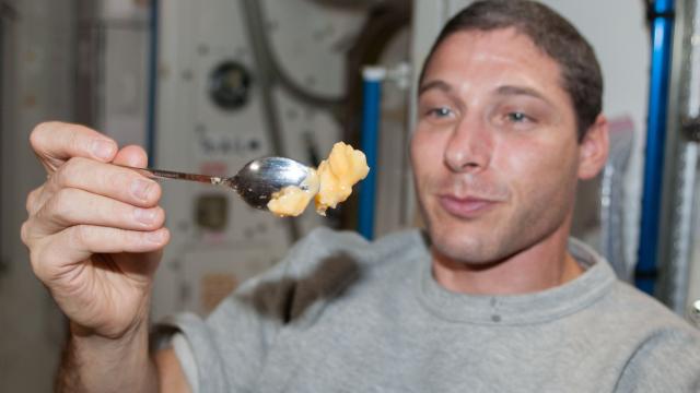 Sugar-Producing Bacteria To Be Tested In Space As Food Source For Astronauts