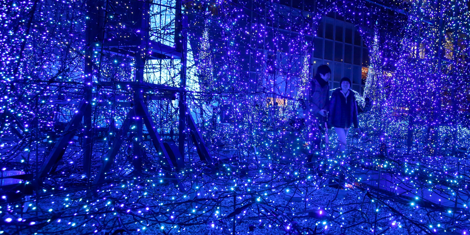 This Light Show In Tokyo Is Bewilderingly Pretty
