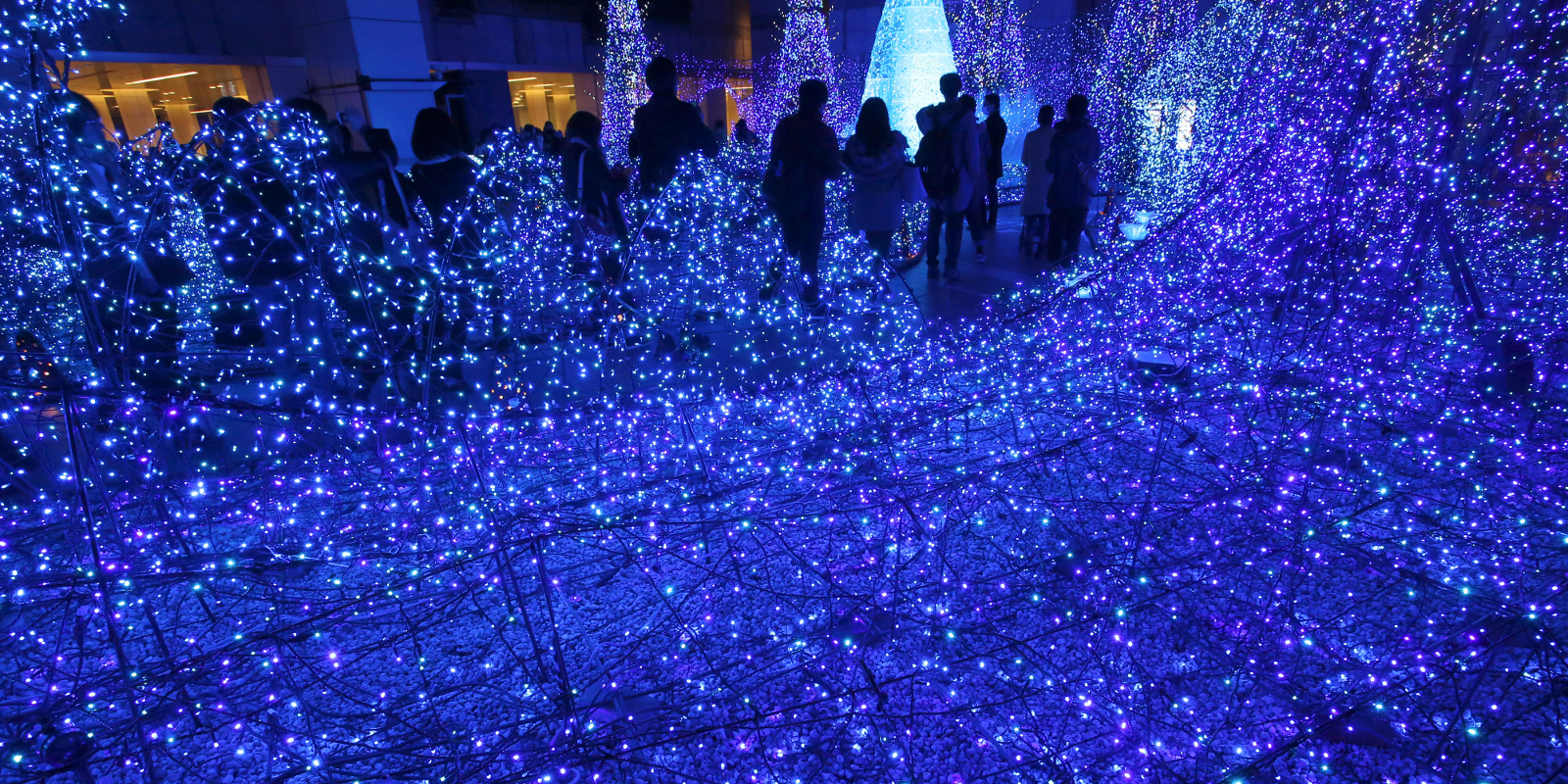 This Light Show In Tokyo Is Bewilderingly Pretty