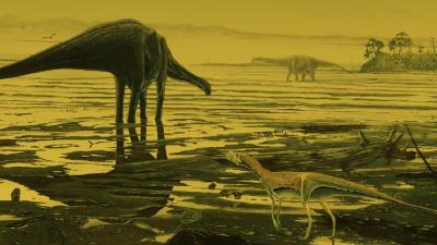 Hundreds Of Dinosaur Footprints Found In A Scottish Lagoon