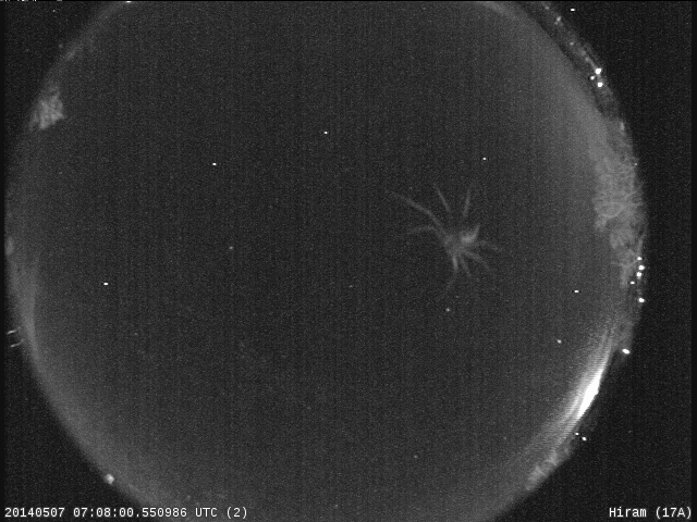 Who Needs Stars When You Can Gaze At Spiders Through Your Telescope?