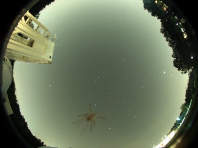 Who Needs Stars When You Can Gaze At Spiders Through Your Telescope?