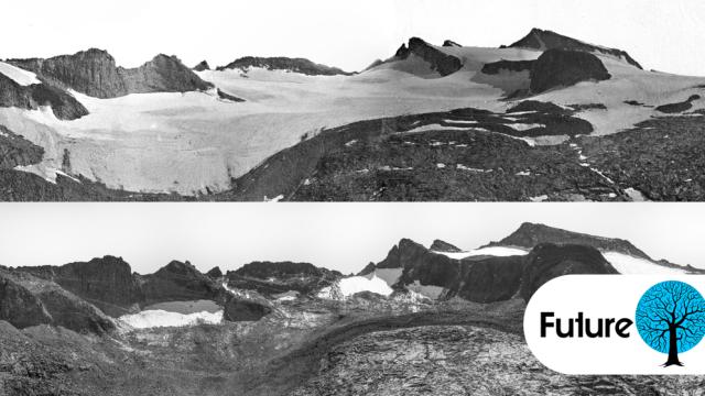 You Can Barely Even See Yellowstone’s Largest Glacier Anymore