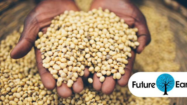 The World’s Food Supply Is In Jeopardy But Here’s How We Can Save It