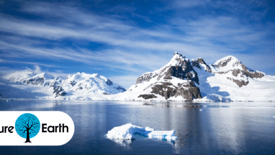 This Is What Will Happen To Antarctica In 100 Years
