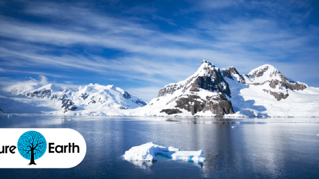 This Is What Will Happen To Antarctica In 100 Years