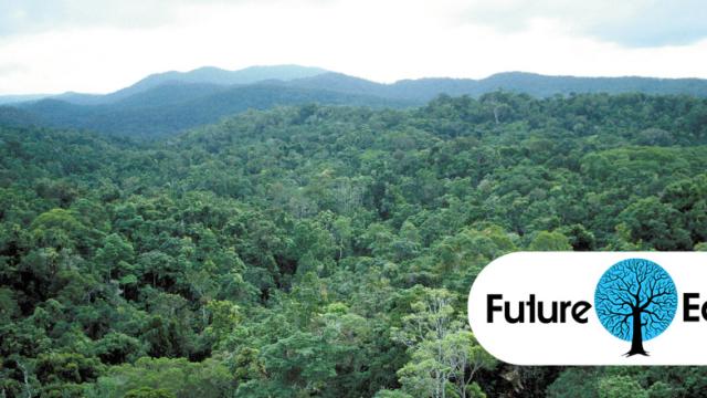 Earth’s Tropical Rainforests Could Look Completely Different By The End Of The Century