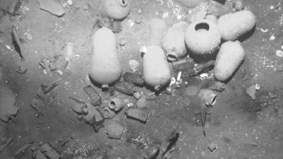 A Sunken Spanish Galleon Worth Billions Has Been Discovered Off The Coast Of Colombia