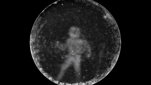 Unprecedented Image Shows A Dolphin’s Echolocated Impression Of A Submerged Human