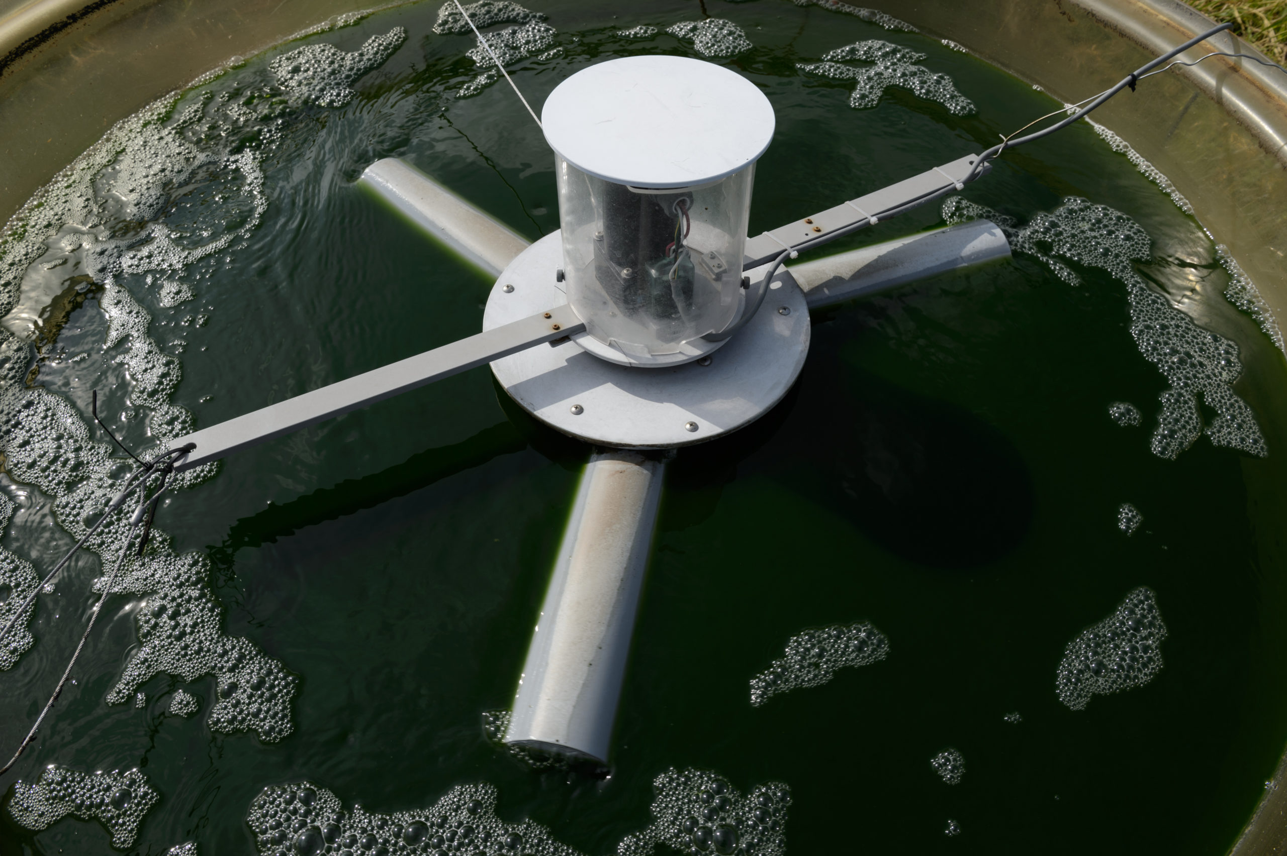 Why Algae Could Be The Greatest, And Trickiest, Fuel Source Of All