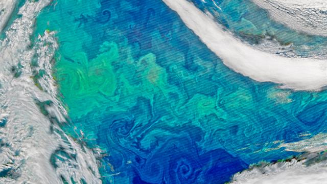 This Stunning Satellite Image Proves Science Can Be Art