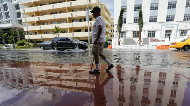 Miami Is Already Drowning Due To Sea Level Rise