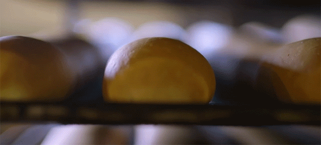 How Delicious Bread Rolls Are Made