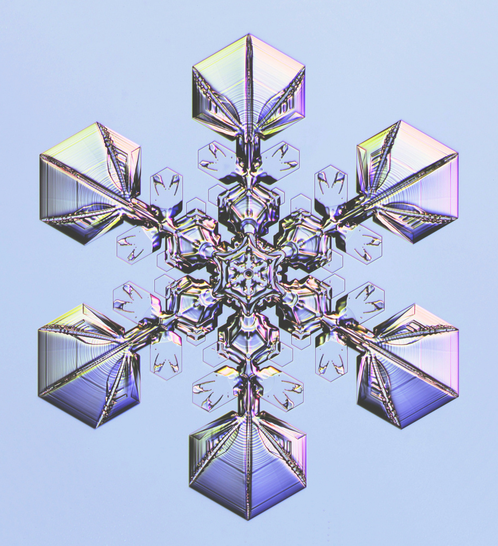 This Physicist’s Designer Snowflakes Are Dazzling