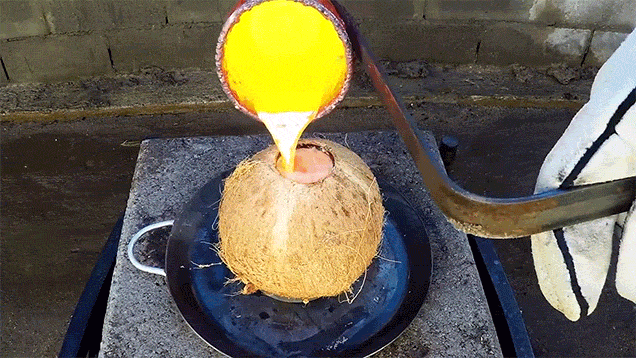 What Happens When You Pour Molten Copper Into A Coconut
