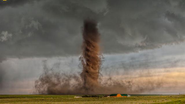 Aussie Photographer Wins National Geographic’s 2015 Photo Contest
