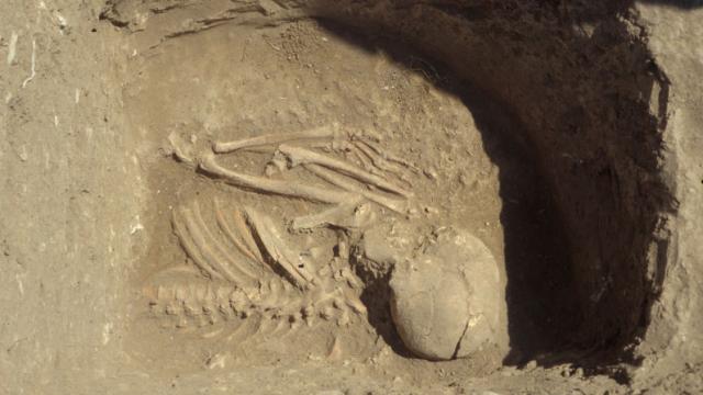 This Neolithic Graveyard May Solve Mystery Of How Ancient Europe Started Farming