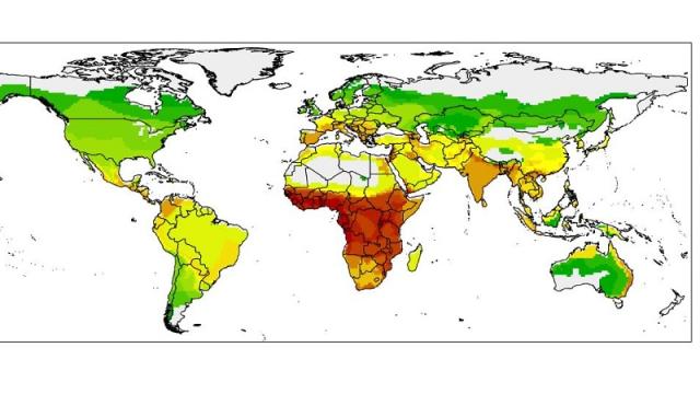 New Maps Identify Possible Hot Spots For Bat-Transmitted Diseases