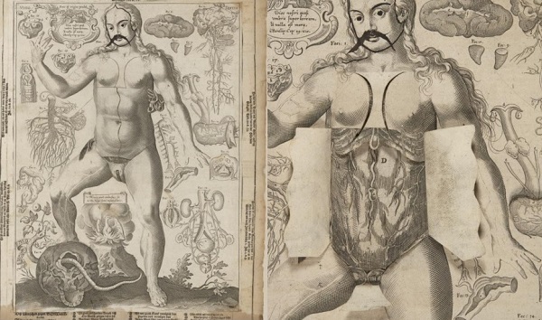 Columbia Just Digitised A Bestselling Anatomy Flipbook From The 1600s