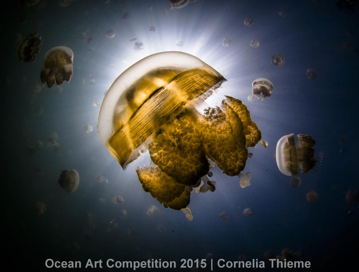 These Photos Show The Alien Beauty Of Life Underwater