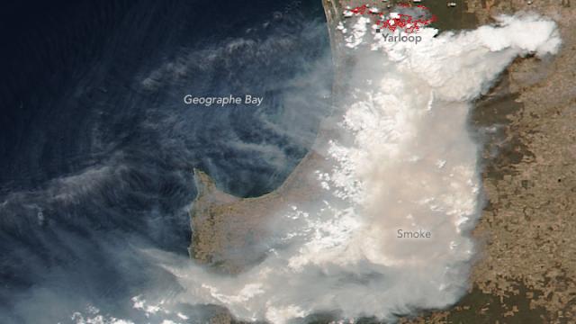 The Western Australian Bushfire Was So Big It Caused Its Own Weather System