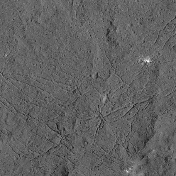 There’s Something Surprising Lurking In Ceres’ Mysterious Bright Spots
