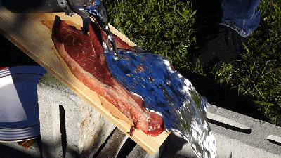 What Happens When You Pour Molten Aluminium On Steak?