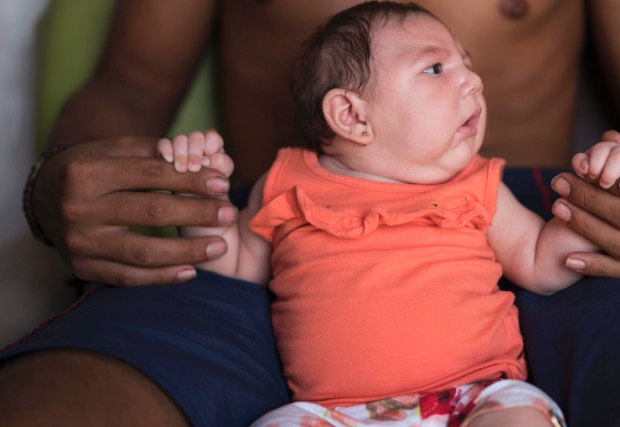 New Evidence Suggests Link Between Mosquito-Borne Virus And Birth Defects