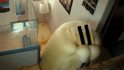 Putting Exploding Expanding Foam Inside A House Is Totally Crazy