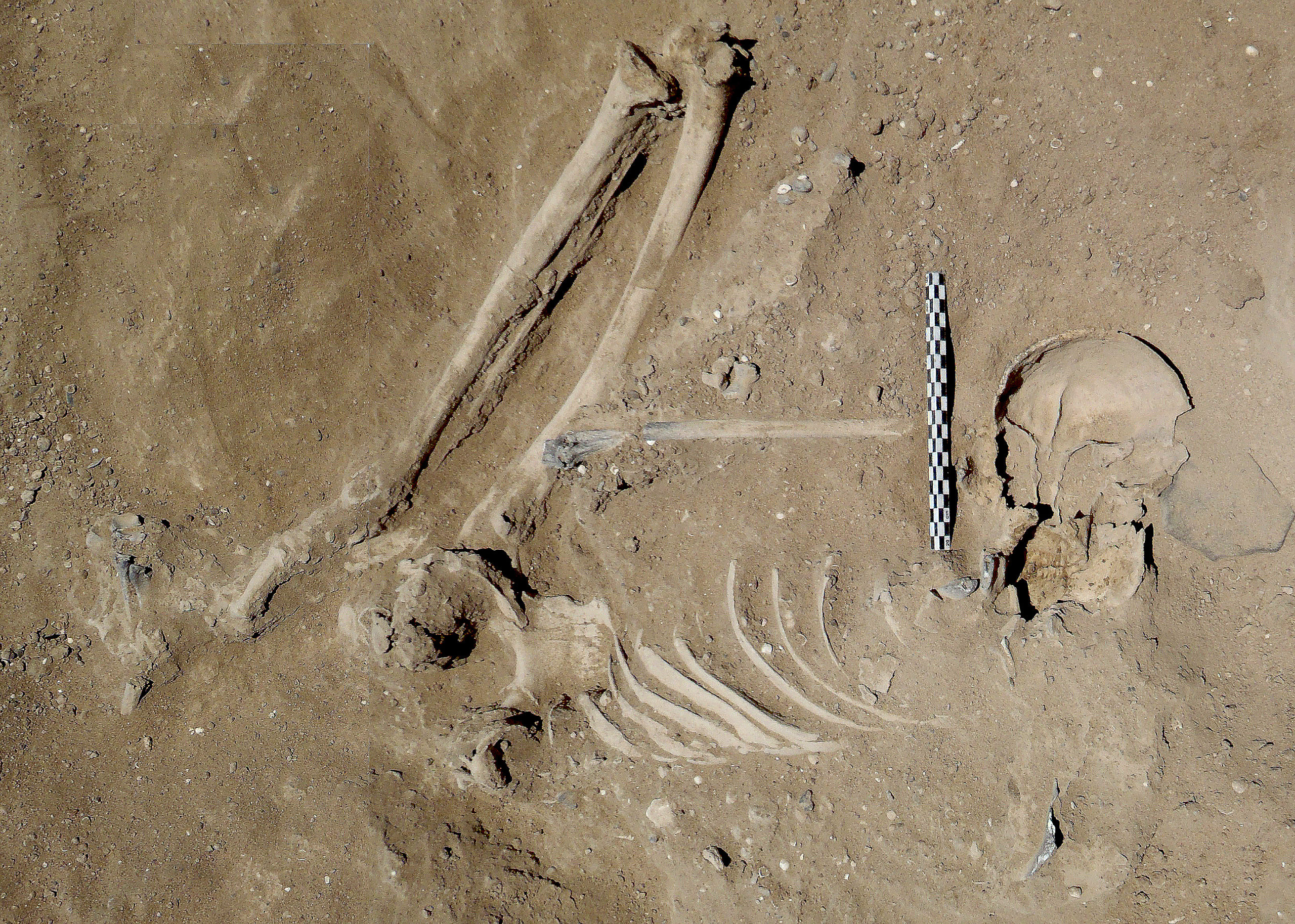 Discovery Of Brutal Massacre Pushes Back History Of Human Warfare