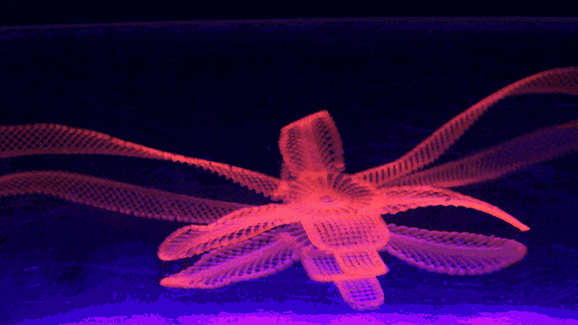 This 4D-Printed Flower Twists And Curls All By Itself