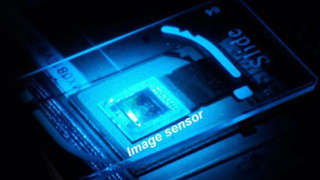 A New Sensor Turns Old Microscopes Into Super-Resolution Devices