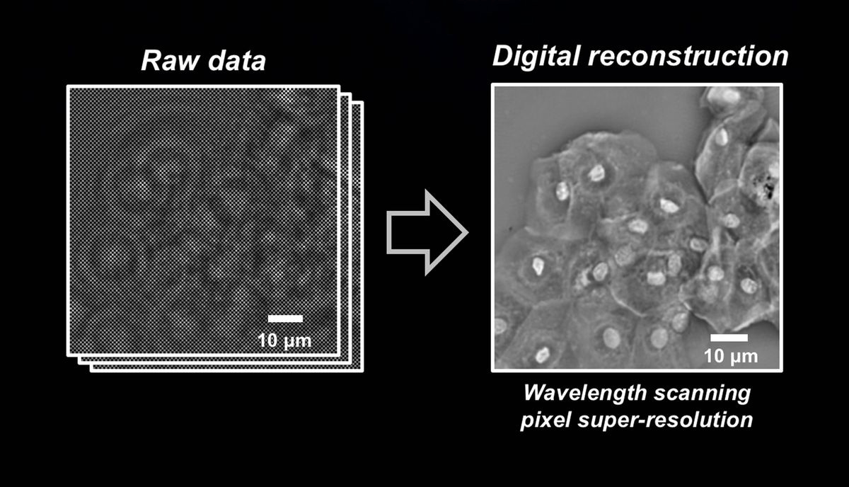 A New Sensor Turns Old Microscopes Into Super-Resolution Devices