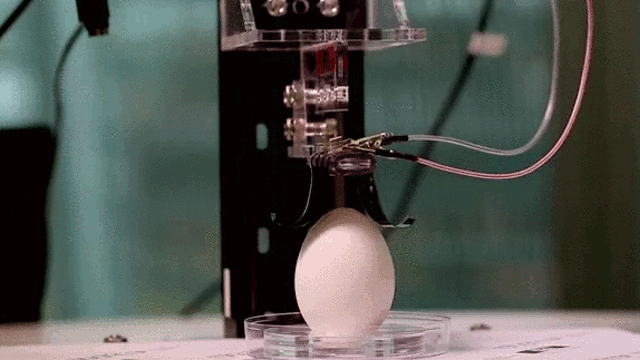 Delicate Robotic Fingers Pick Up Fragile Objects Using Electrostatic Force