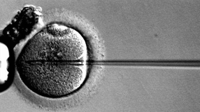 British Researchers Get Approval To Genetically Modify Human Embryos