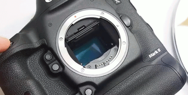 Canon’s New 1D X Mark II Shooting At 16 FPS Makes A Wonderful Sound