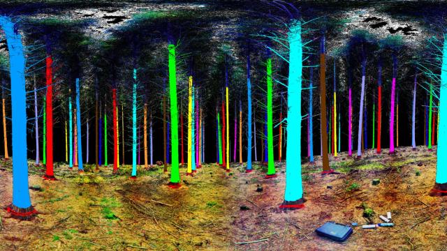 This Is What You See When You Scan A Forest With Lasers
