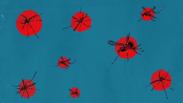 It’s Time To Declare War On Mosquitoes
