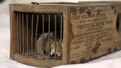 A Museum’s 155-Year-Old Antique Mouse Trap Is Still Catching Rodents