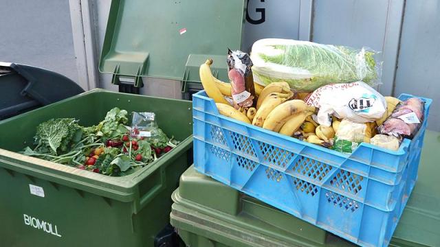 Why France’s New Food Waste Law Might Not Work Outside France