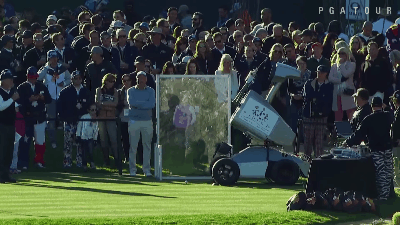 Watch A Robot Golfer Sink A Hole-in-One Just Like Tiger Woods