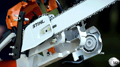 Dissecting A Chainsaw